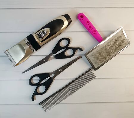 A set of tools for grooming: electric pet clipper, grooming scissors and wool brush and comb for pet on a light wooden background. Grooming tools for the hygienic care of pets cats and dogsの写真素材