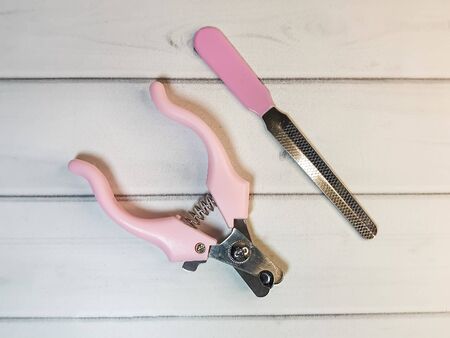 Grooming scissors with pink handles and emery board for pet on a light wooden background. Grooming tools for the hygienic care of pets cats and dogs.の写真素材