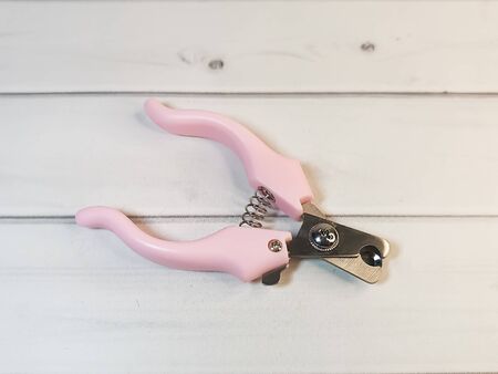 Nail clipper for pet with pink handles on a light wooden background. Grooming tools for the hygienic care of pets cats and dogs.の写真素材