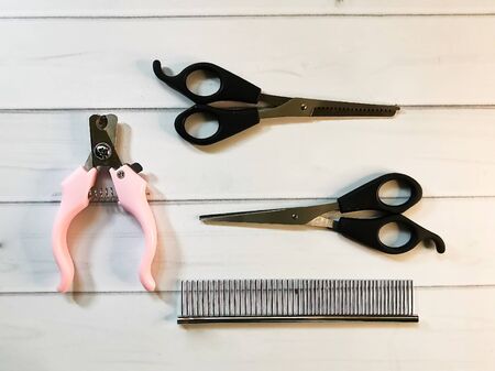 Grooming scissors with pink handles and pair of scissors for pet on a light wooden background. Pet grooming tools for the hygienic care cats and dogs.の写真素材