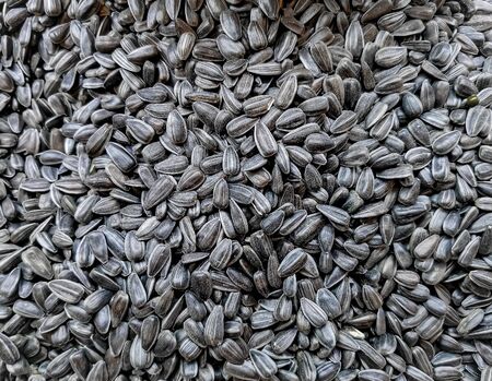 Black sunflower seeds on the counter of a farmers market. Abstract background texture of sunflower seeds. Top view. Selective focusの写真素材