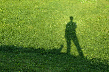 Shadows of a full-length man and a small dog on a bright green lawn. Silhouettes in the bright sun. Summer walks with pets. Space for textの写真素材