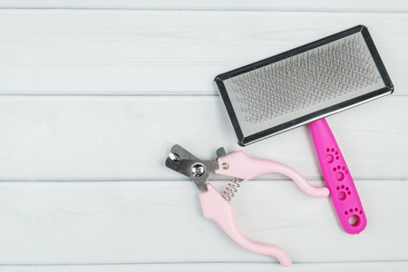 Set of tools for grooming: grooming claw scissors and animal fur brush. Grooming, hygienic of cats and dogs. Pet care. Top view, copy spaceの写真素材