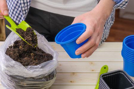 Woman fills a small seedling pot with soil with a shovel. Preparation for planting seedlings at...