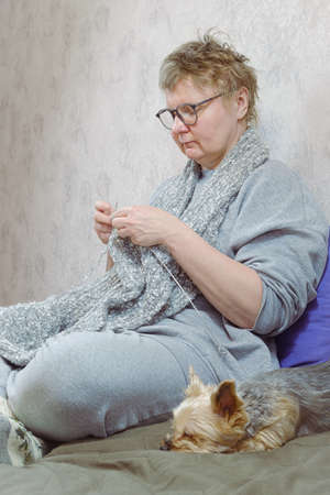 Middle-aged woman is knitting a gray wool scarf sitting on the sofa. Yorkshire terrier dog is lying on the couch next to the owner, who is knitting. The woman is doing needlework. vertical imageの写真素材