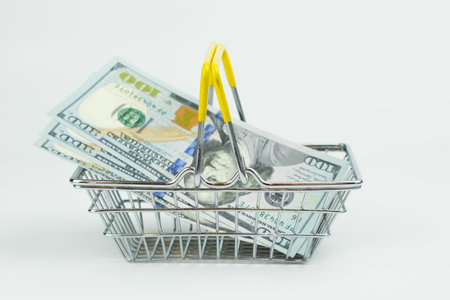 Dollar bills in a metal shopping cart. The concept of budget planning, rising spending on a grocery...