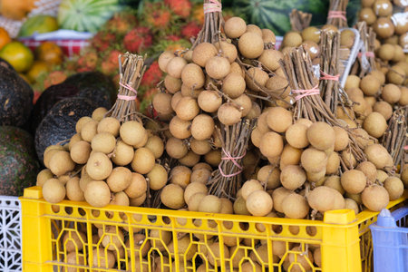 Fresh longan Fruit at the fruit market stall. Traditional fruits of Thailand. Retail sale of crops from an agricultural farm.の写真素材