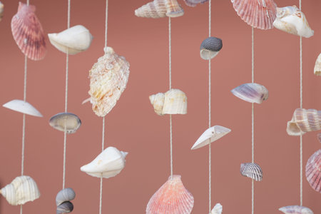 Decorative curtain made of seashells strung on a thread. Shells of different sizes hanging on a...