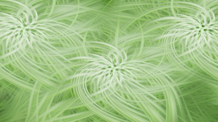 Abstract background in light green colors. Smooth lines in the form of petals emanate from the center. Background for design, wallpaper, templateの写真素材