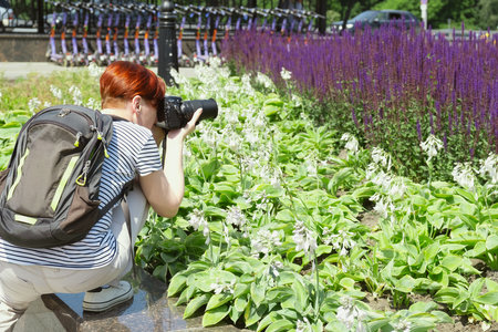 woman photographer takes pictures of flowers in a city flower bed. City reporting amateur photography.の写真素材