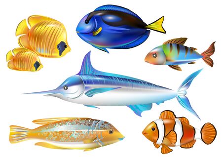 Set of tropical exotic colorful sea fishes. Vector illustration.のイラスト素材