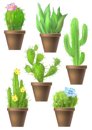 Set of cactus of different shapes and flowers. Vector illustration.のイラスト素材