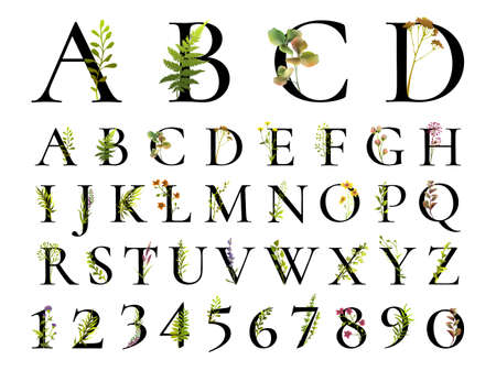 Botanical letters and numbers. Floral cute font. Herbal alphabet.のイラスト素材