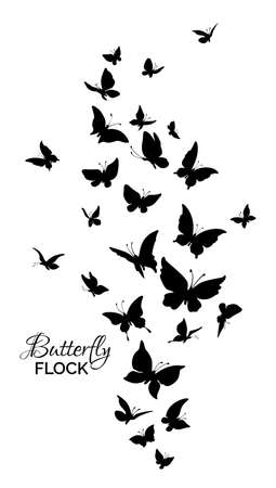 Flock of butterflies. Silhouettes of flying butterflies.のイラスト素材
