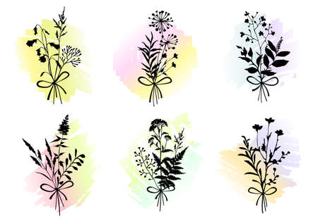 Set of bouquets with herbs and flowers on colorful watercolor backgrounds. Floral design elements. Vector illustration.のイラスト素材