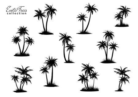 Group of palm trees silhouettes with peace of land. Vector illustrationのイラスト素材