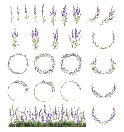 Large set of lavender sprigs, wreaths and frames. Lavender field.のイラスト素材