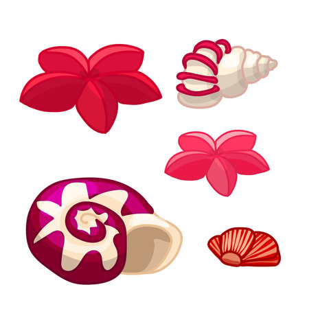 vector cartoon animal clipart: seashell, starfishのイラスト素材