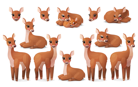 vector cartoon animal clipart: female Red deer setのイラスト素材