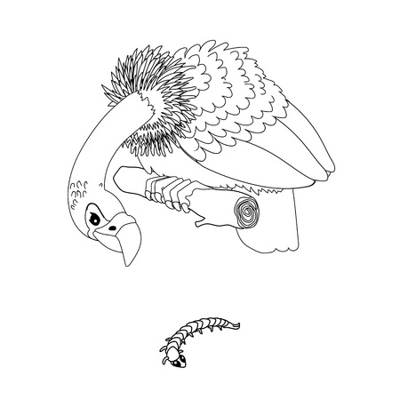 vector line cartoon animal clip art predator vultureのイラスト素材