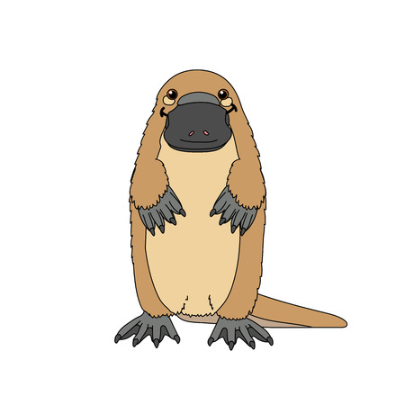 vector scandi cartoon animal clip art cute platypusのイラスト素材