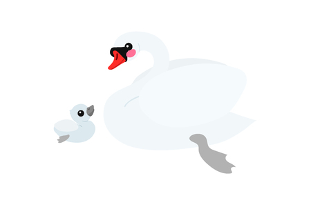 vector flat cartoon animal clip art white mute swanのイラスト素材