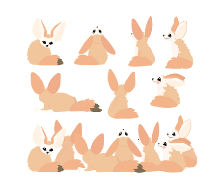 vector flat cartoon animal clip art fennec foxes setのイラスト素材