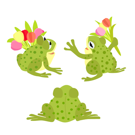 vector flat cartoon animal clip art green toad, frogのイラスト素材