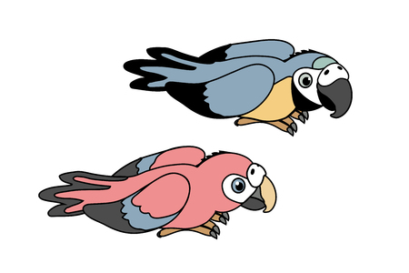 vector cartoon animal clipart ara parrots, macawのイラスト素材