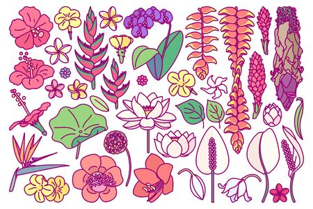 vector big exotic flower set. cute drawn plant artのイラスト素材