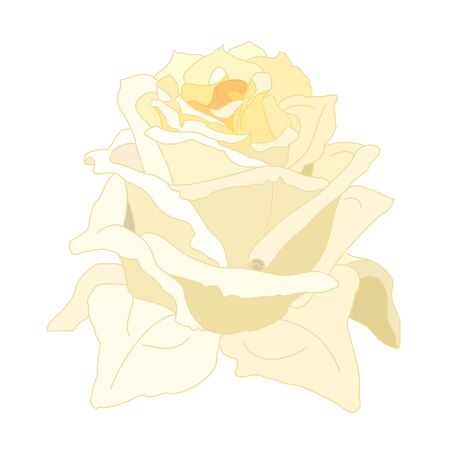 vector rose flower clip art on white isolated backgroundのイラスト素材