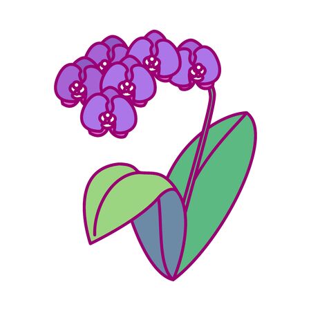 vector handdrawn cute plant clip art exotic flowerのイラスト素材
