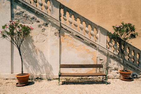 A serene outdoor scene with a bench, potted plants, stone stairs