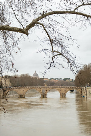 A bridge spans the Tiber River with St. Peter's Basilica visible in the distance. The scene shows bare trees beside the river. The sky is overcast and water levels are high.の写真素材