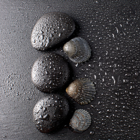 zen basalt stones and sells with dew の写真素材