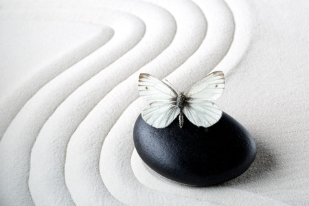 Zen stone with butterflyの写真素材