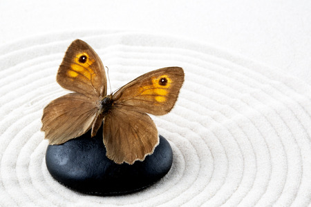 Zen stone with butterflyの写真素材