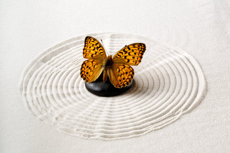 Zen stone with butterflyの写真素材