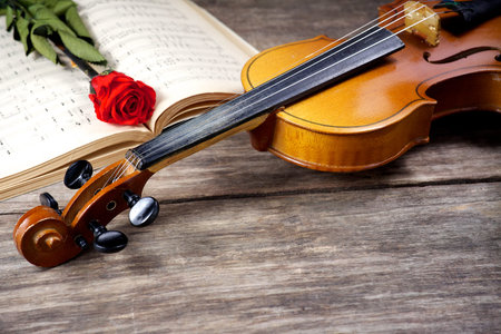 The violin and rose with musical notes on wooden backgroundの写真素材