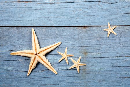 starfish on blue wooden backgroundの写真素材