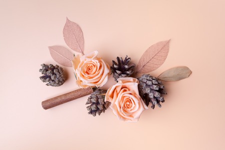 Christmas composition cinnamon sticks, roses and cone top view on pink background.の写真素材
