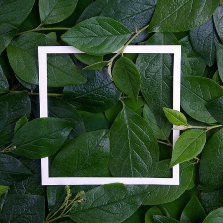 Creative layout made leaves with white paper frame. Flat lay. Nature conceptの写真素材