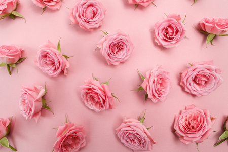 Background image of pink roses. Flat layの写真素材