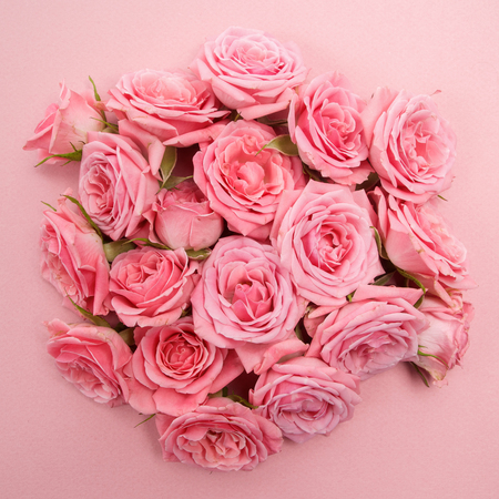Background image of pink roses. Flat layの写真素材