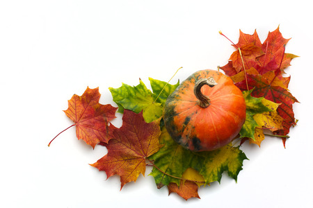 Autumn corner border or frame with leaves and pumpkinsの写真素材