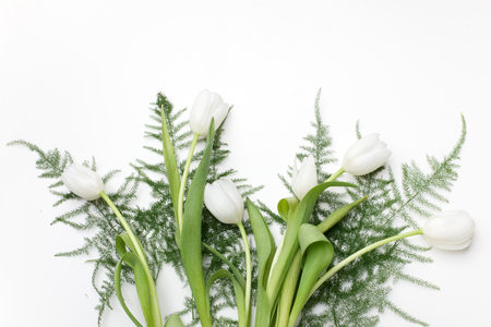 White Tulips on white background. Top viewの写真素材