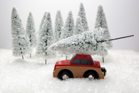 Car carrying a Christmas tree in a snow covered miniature evergreen forestの写真素材