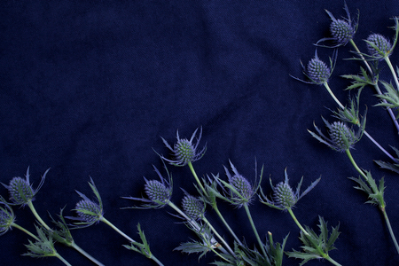 blue fabric cloth background texture with flowers. Top viewの写真素材