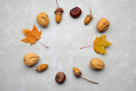 Wreath of autumn leaves and acorns on the grey background, flat lay, top viewの写真素材