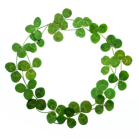 Clover leaves frame, isolated on white. Top view. Flat layの写真素材